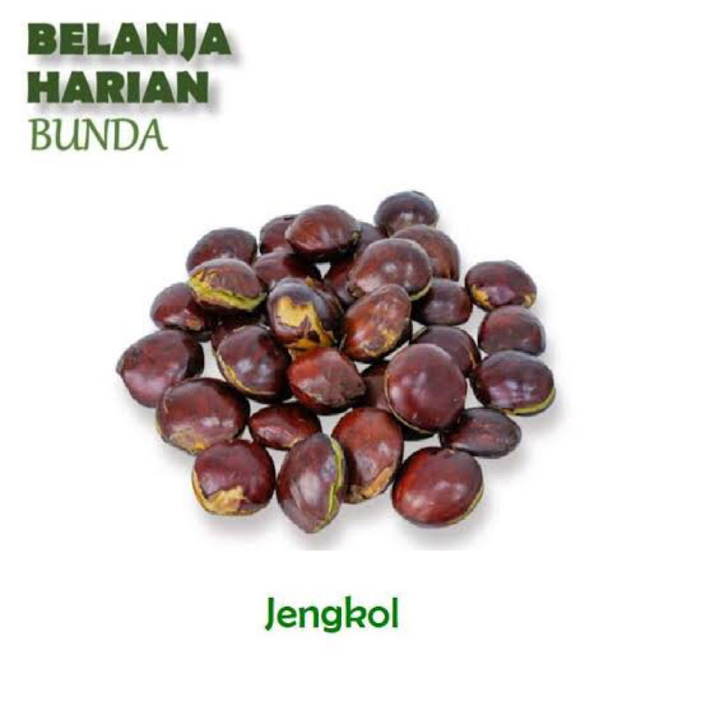 

Jual Jengkol Tua SUPER Segar 1kg