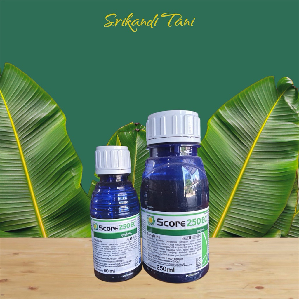 Fungisida SCORE 250 EC