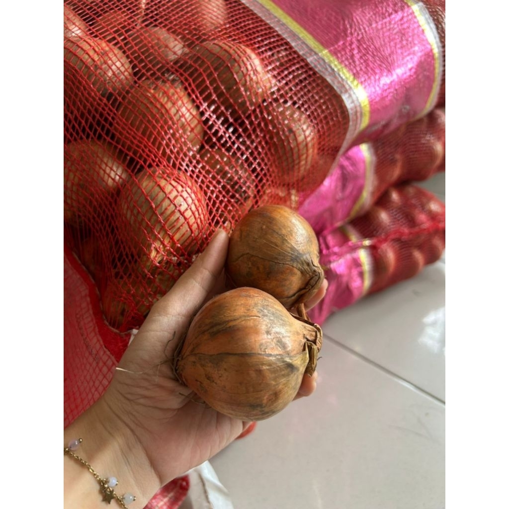 

BAWANG BOMBAY MURAH 500GRAM / 1KG