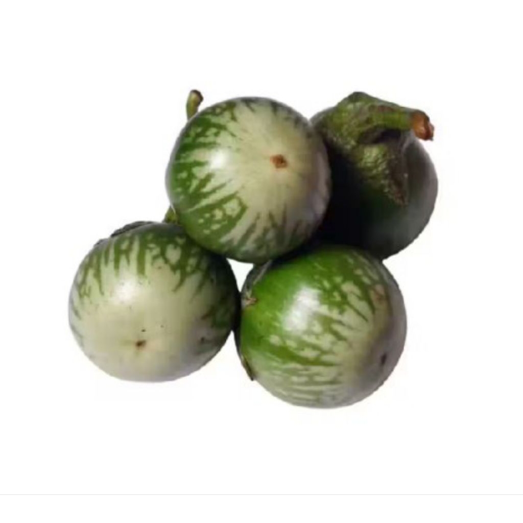 

LALAPAN TERONG HIJAU BARU PETIK FRES / TERONG 500 GR