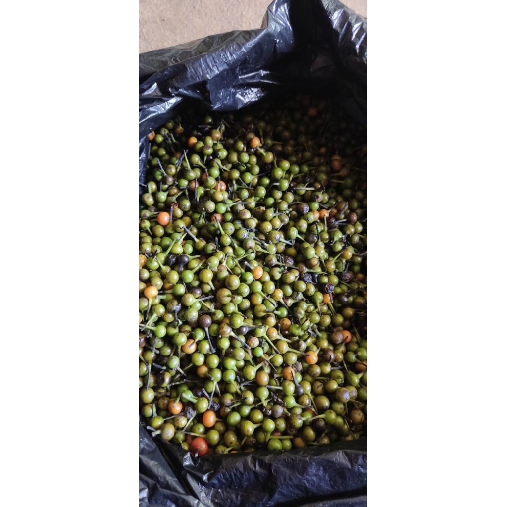 

Buah Rinu segar 300gram