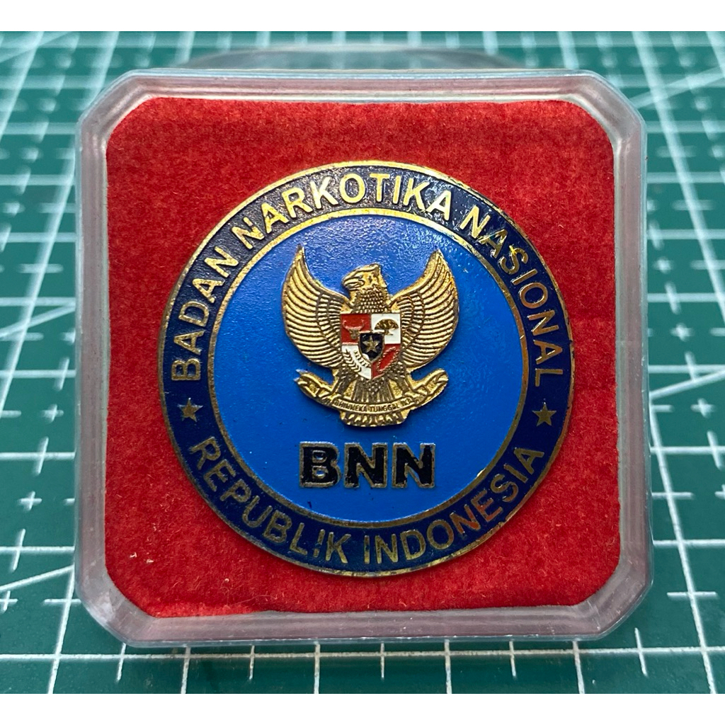 PIN BNN
