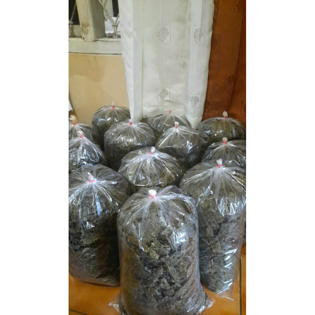 

Rumput laut kiloan 1000gr / 500gr