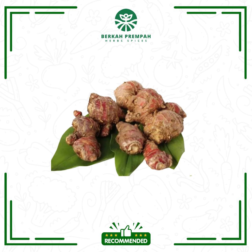 

Jahe merah segar / Jahai merah asli fresh - Berkah prempah