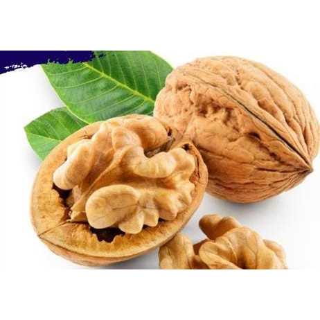 

Kacang Walnut Utuh Panggang / Roasted Walnut