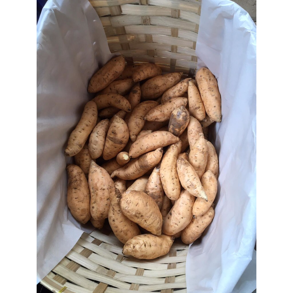 

Ubi Cilembu Madu Manis Asli Cilembu 1kg