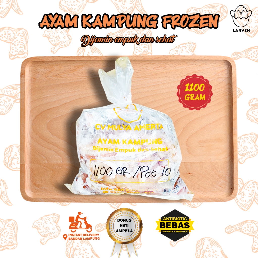 

Ayam kampung beku frozen 1100 gram Murah dan sehat