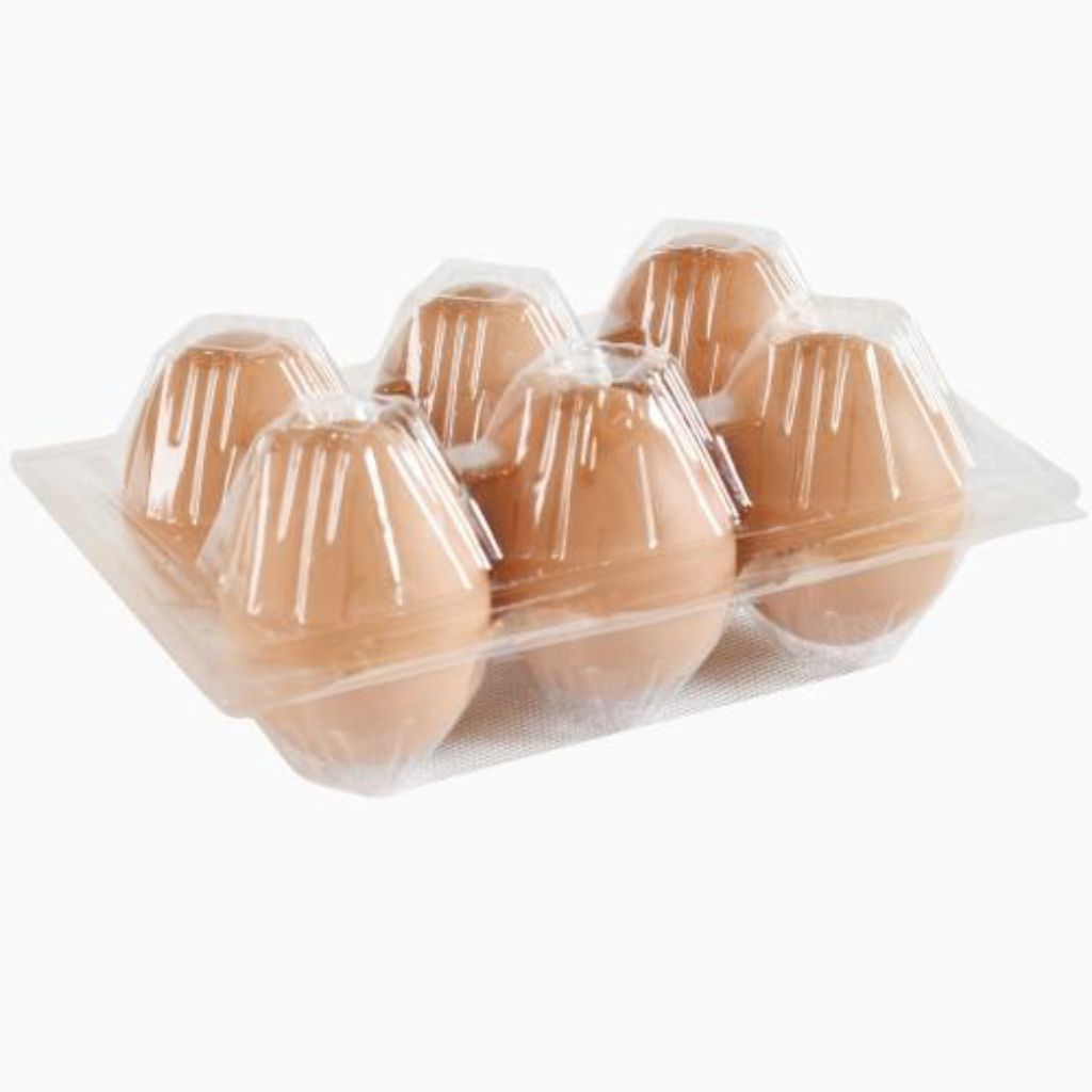

Egg chiken