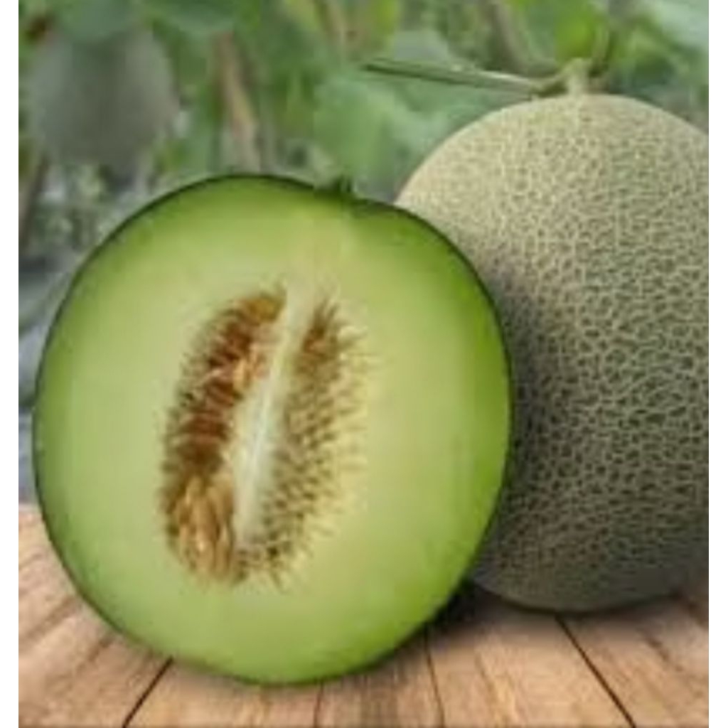 

melon belahan separu