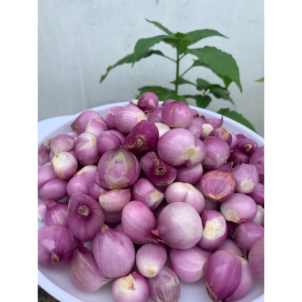

Bawang Merah Kupas Segar dan Berkualitas