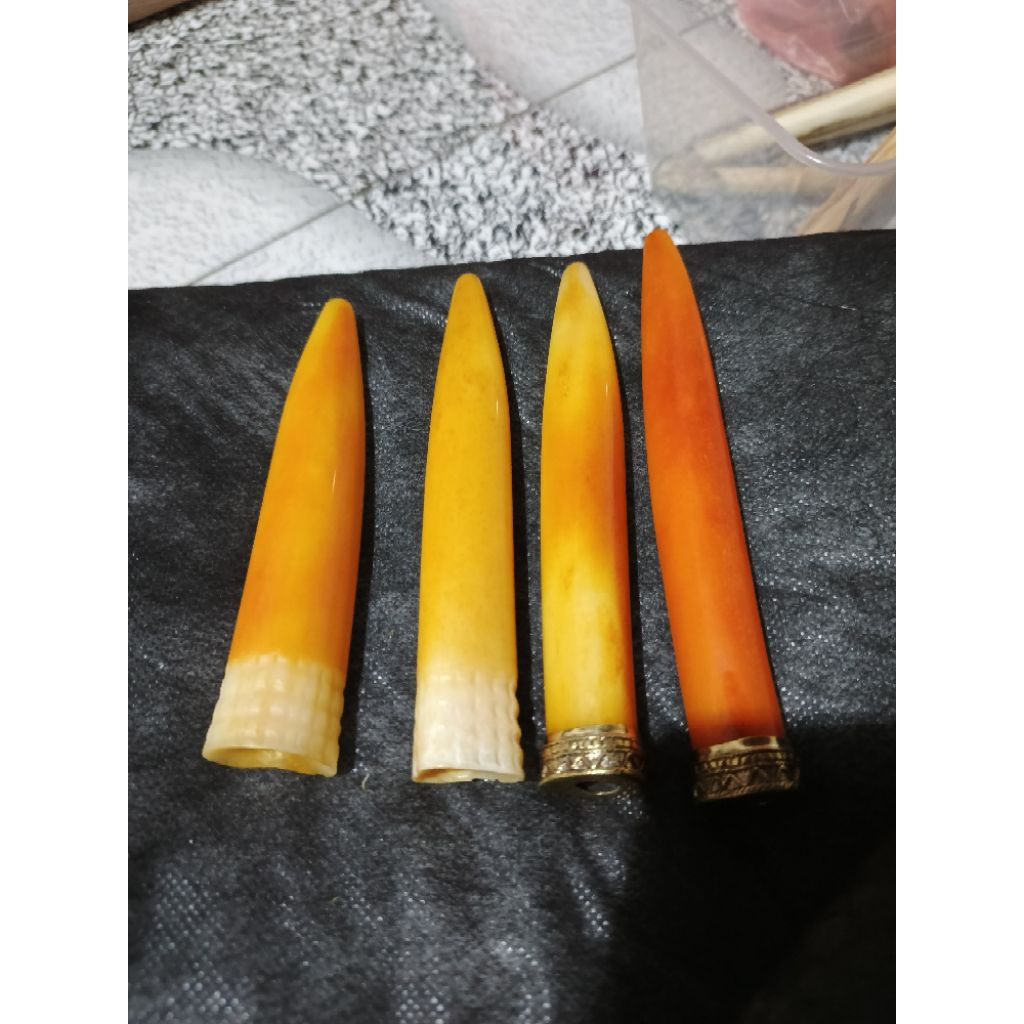 once tulsap model tarduy lawasan panjang 14 cm up