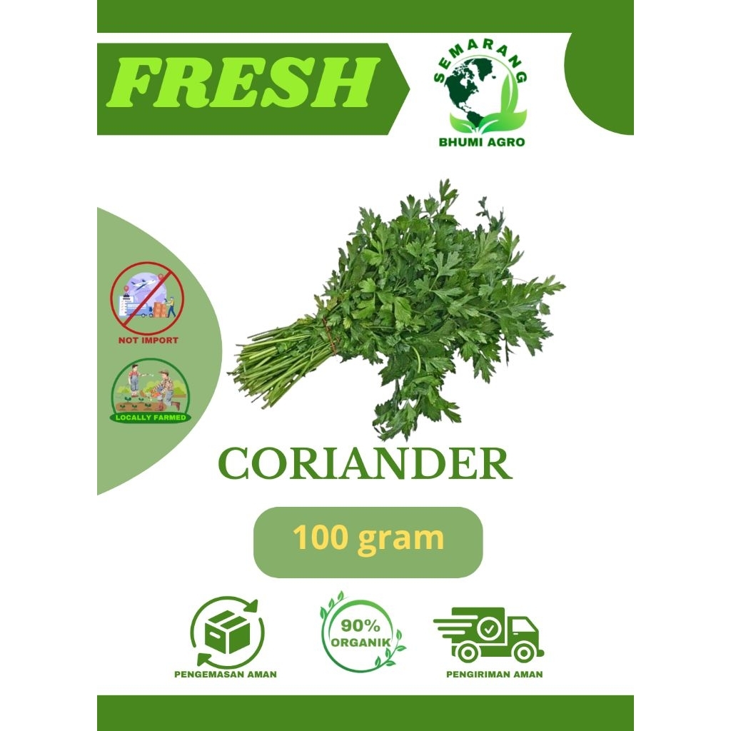 

Coriander/ Wansui/ Daun Ketumbar Segar & Organik – 100gr | BHUMI AGRO