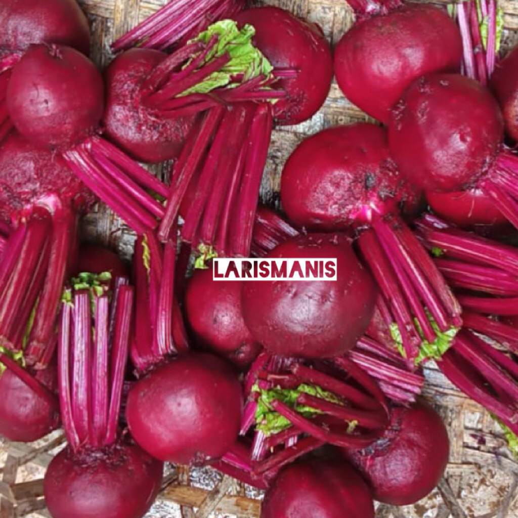

Beet Root Buah Bit Fresh