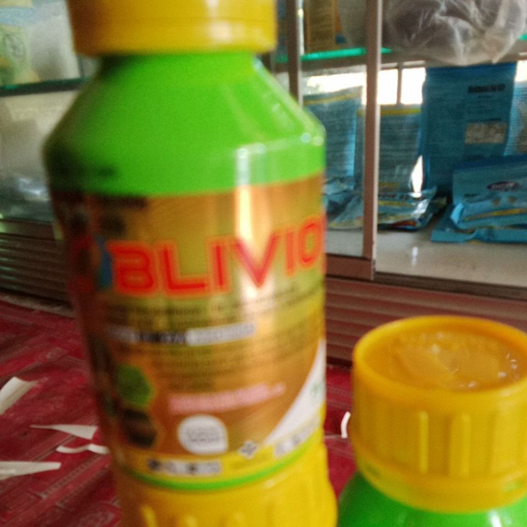 insektisida oblivion 300sc