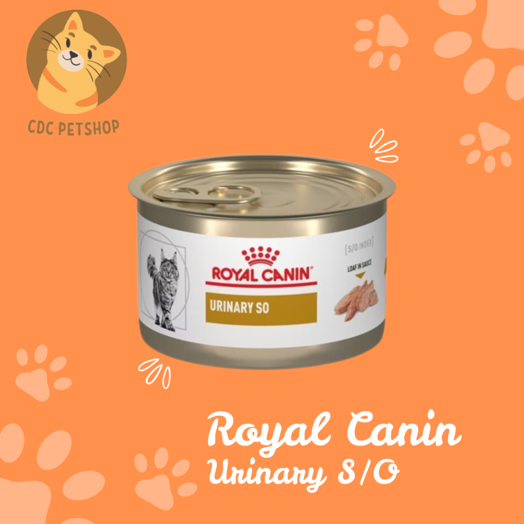 ROYAL CANIN URINARY SO DOG 200GR WET FOOD KHUSUS MENGALAMI SUSAH KENCING