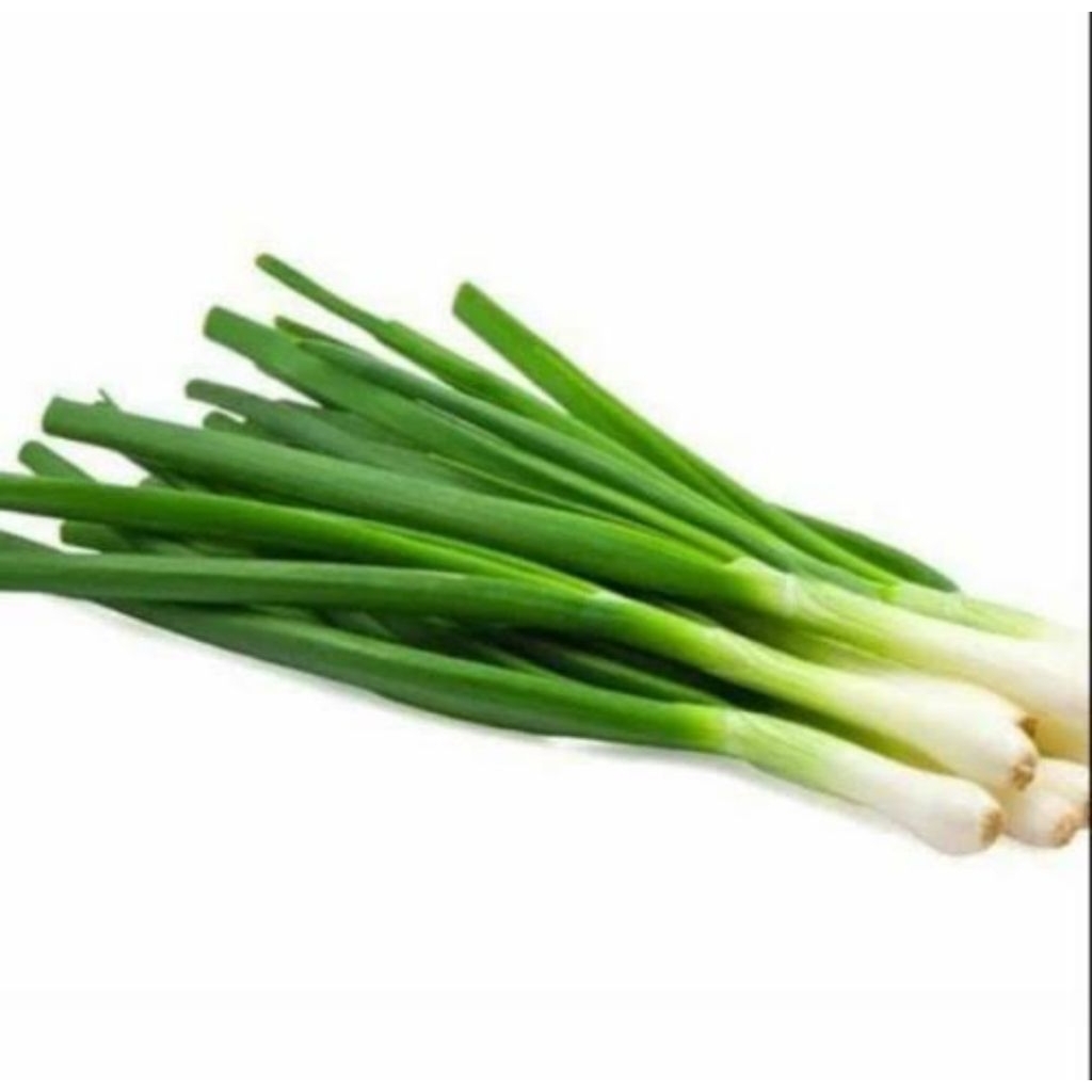 

Daun Bawang Tanpa Akar Fresh Segar