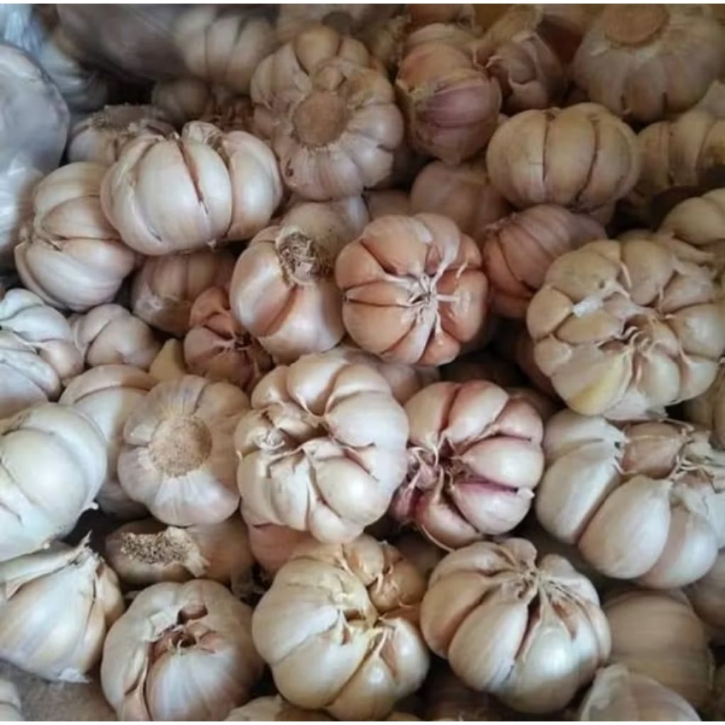 

Bawang putih 1 kg