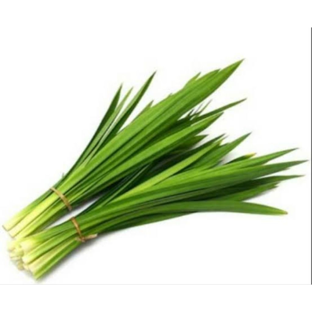

Daun pandan segar organik petik langsung 25 lembar pilihan