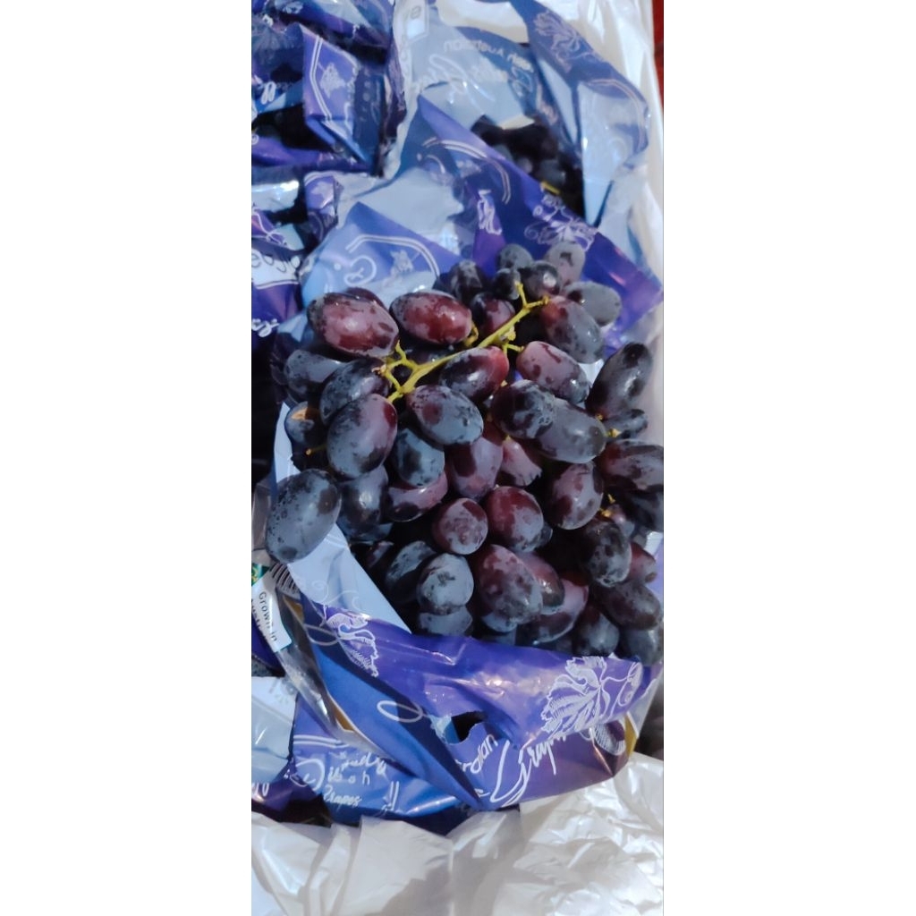 

Anggur Autumn Import Premium ManisTanpa Biji