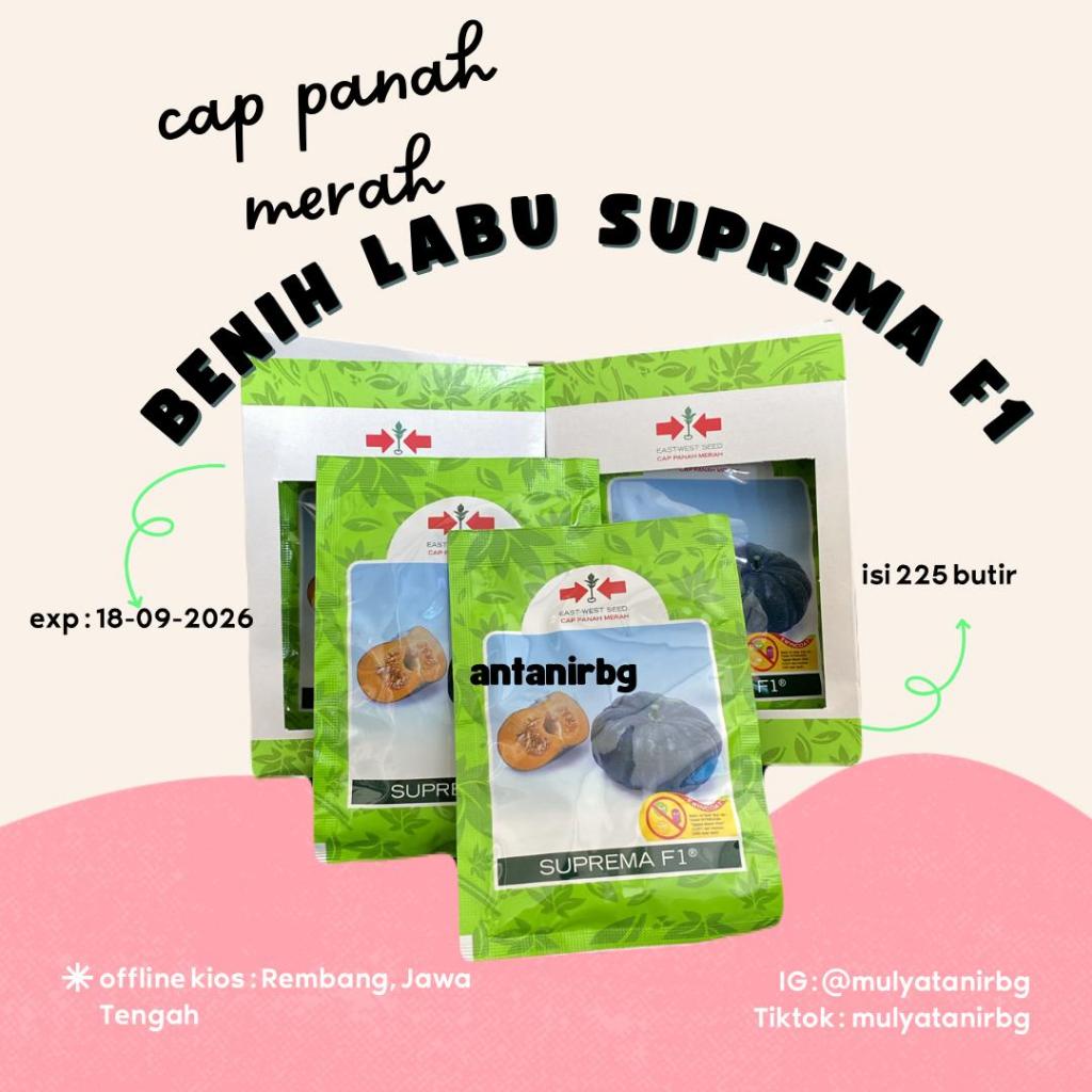 BENIH LABU SUPREMA F1 26 GRAM - ISI 225 BUTIR ORIGINAL (EXP 18-09-2026)