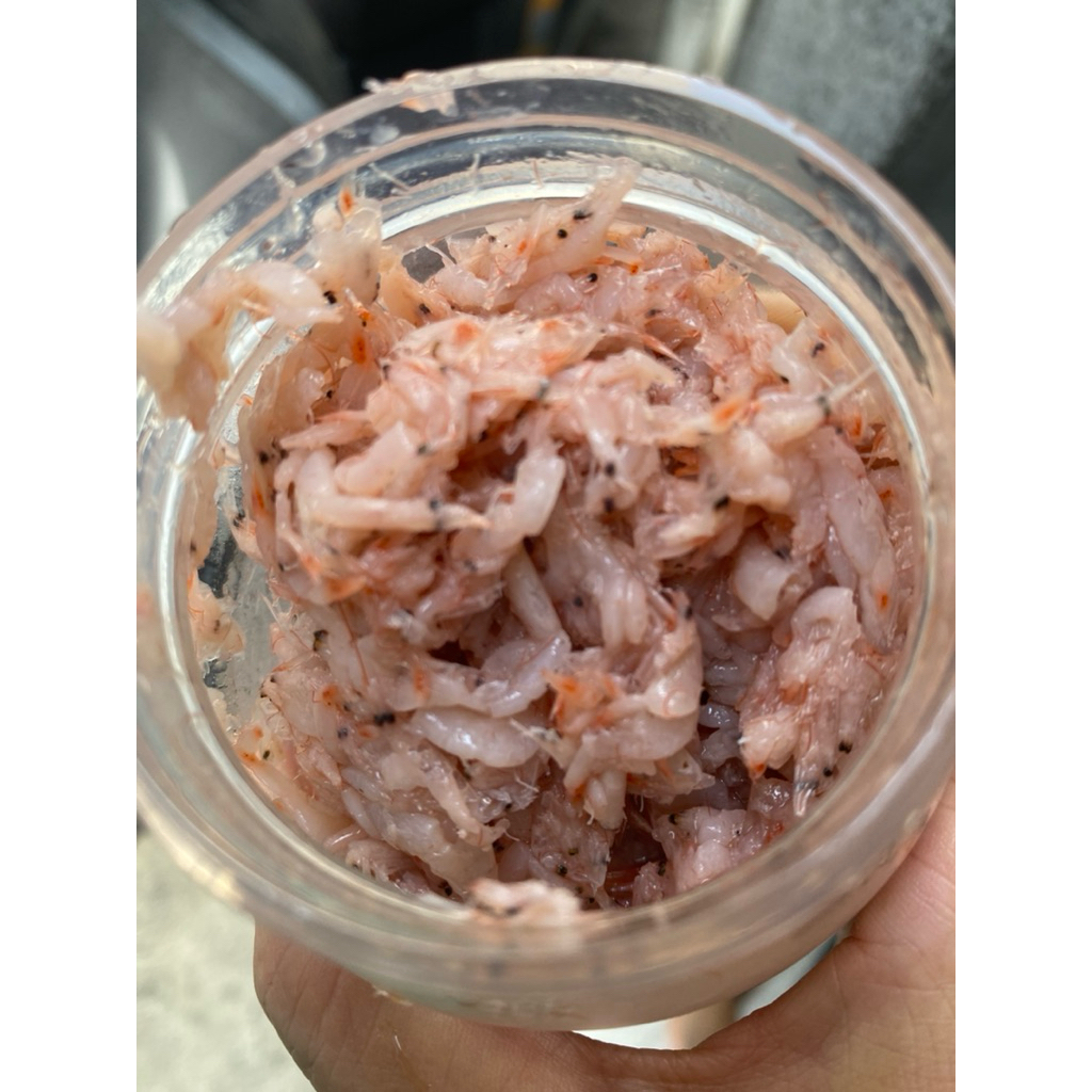 

udang asin fermentasi korea / calok udang / cencalok / cincalok udang / bumbu kimchi / seaujot / seujot / hakoi kalimantan HALAL / calok malaka / kecalok udang / fermented shrimp salted | seujot | hakoi