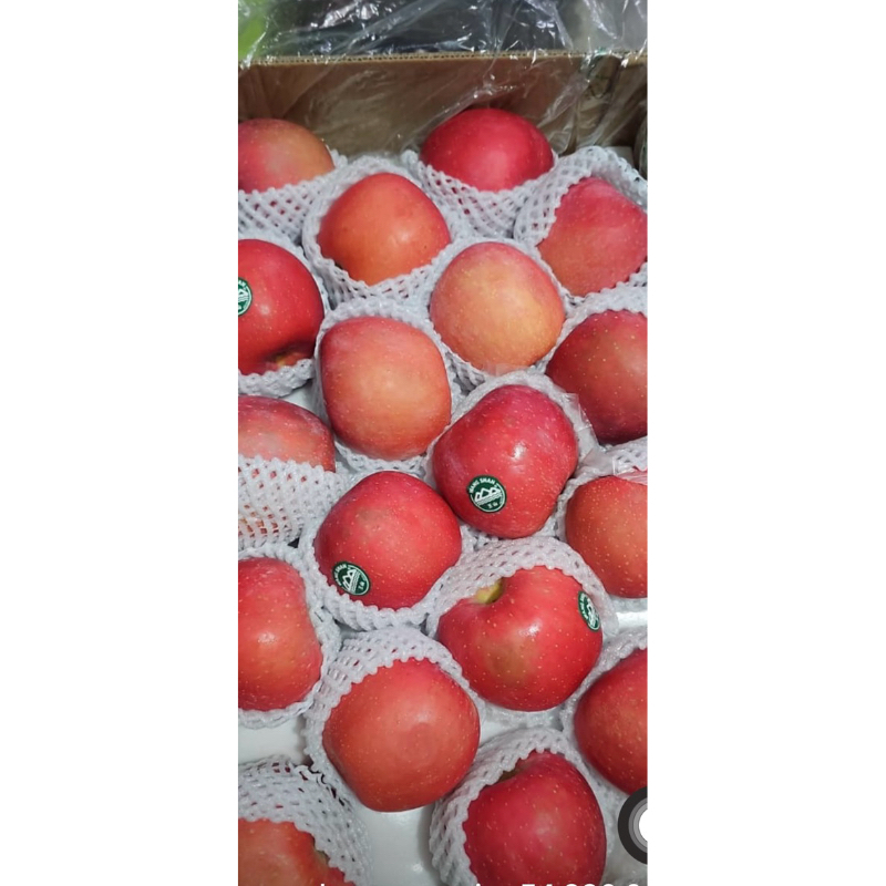 

apel fuji blash wangsan