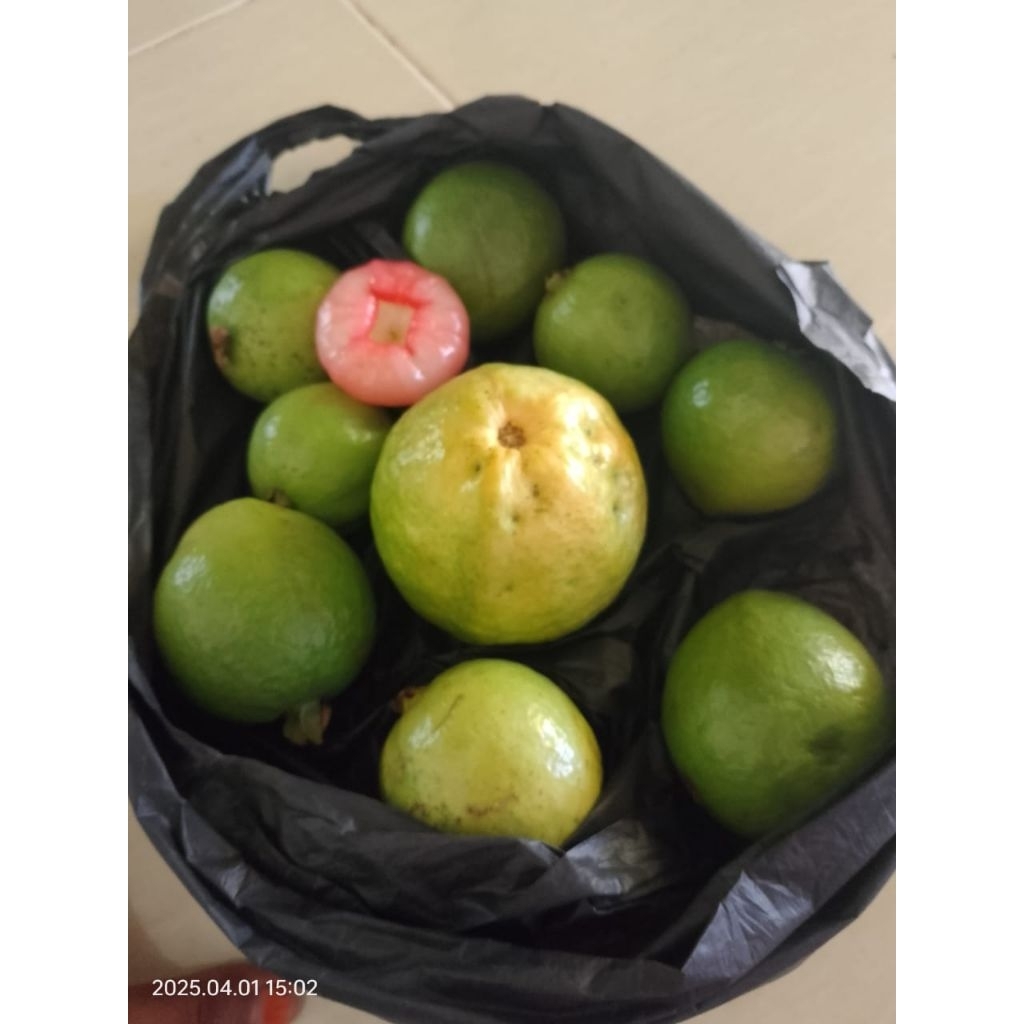 

Jambu kristal