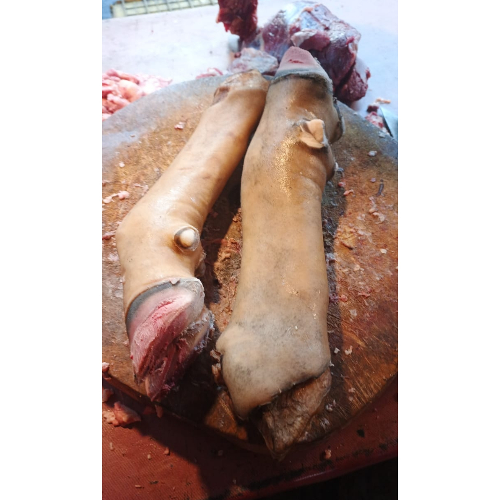 

Kaki Sapi Utuh Segar – Cocok untuk Soto, Sop, Gulai | Kualitas Terbaik