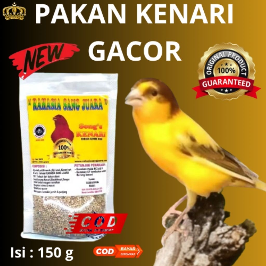PAKAN KENARI GACOR
