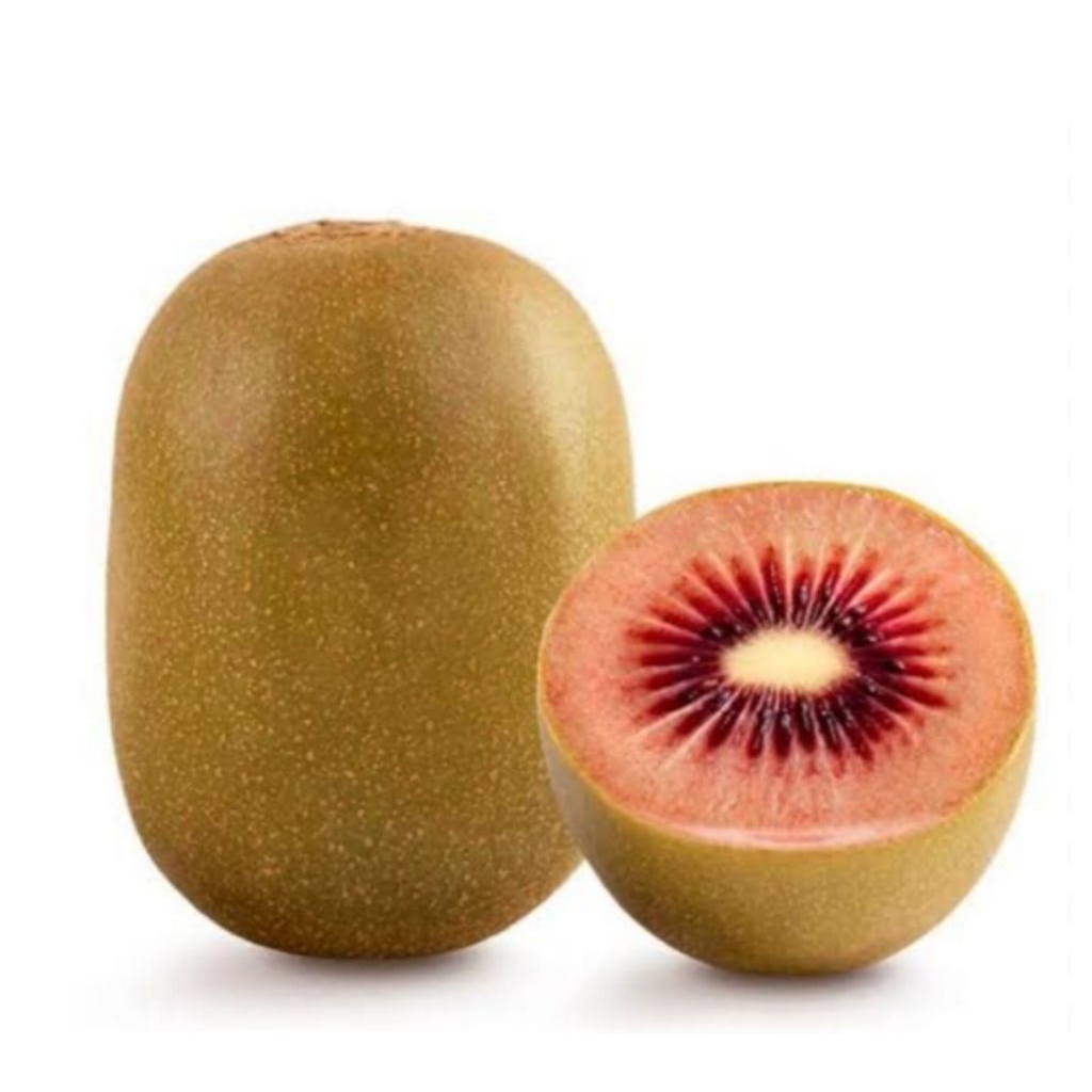 bibit tanaman buah kiwi merah