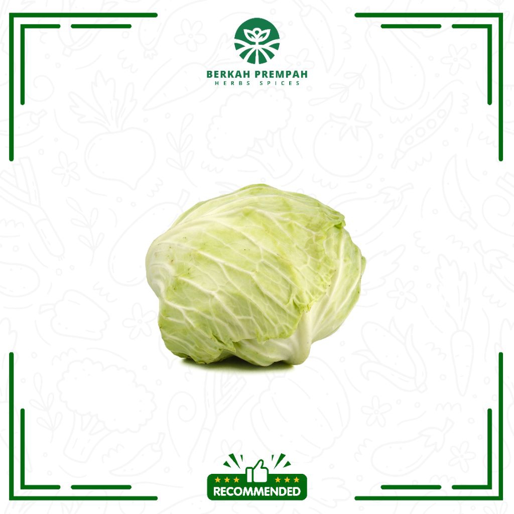 

Sayur kol segar 1000gr - BerkahPrempah