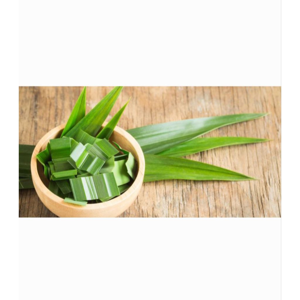 

Pandan Wangi /Daun Pandan