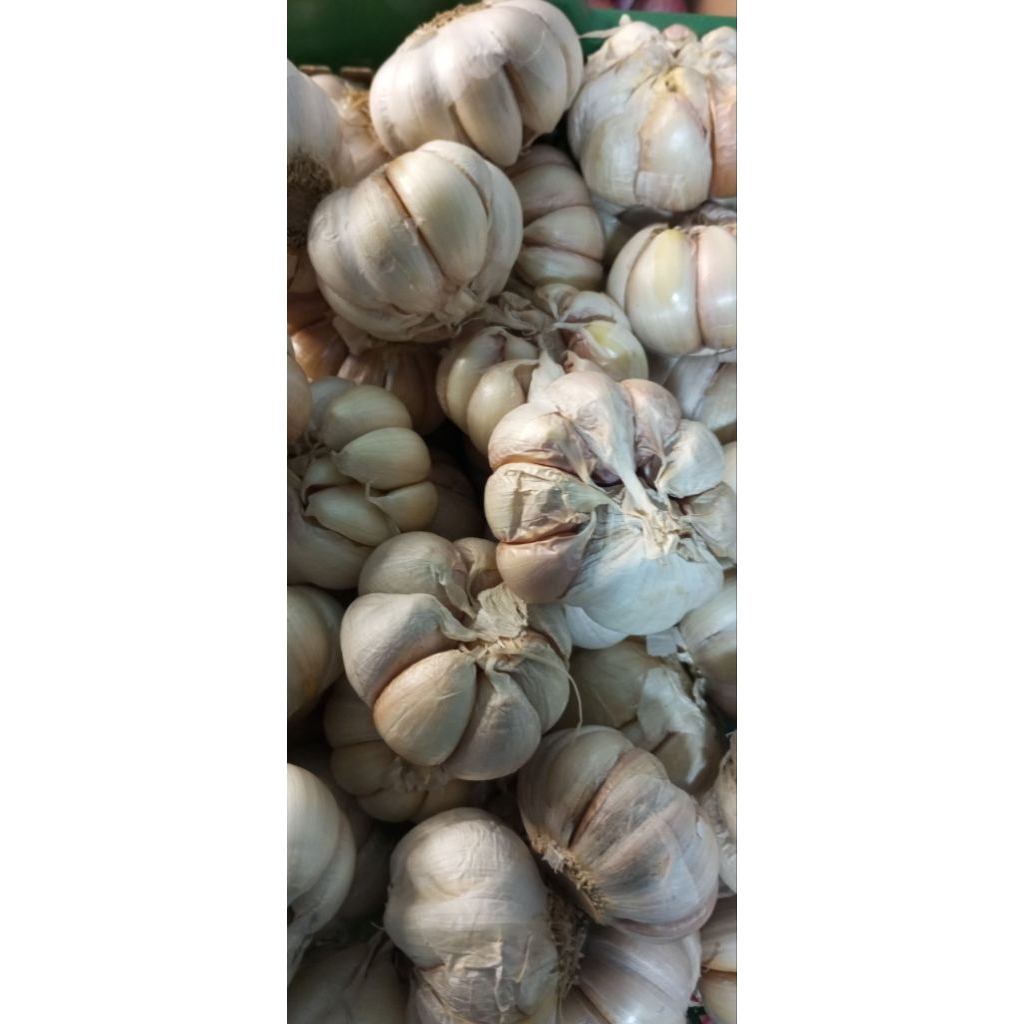 

Bawang putih harga promo