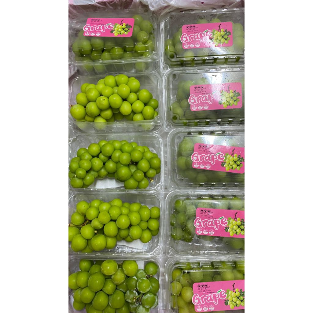 

muscat box 500gr