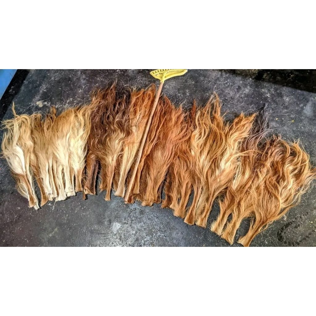 RAMBUT SAPI KERING / RAMBUT SAPI SUPER