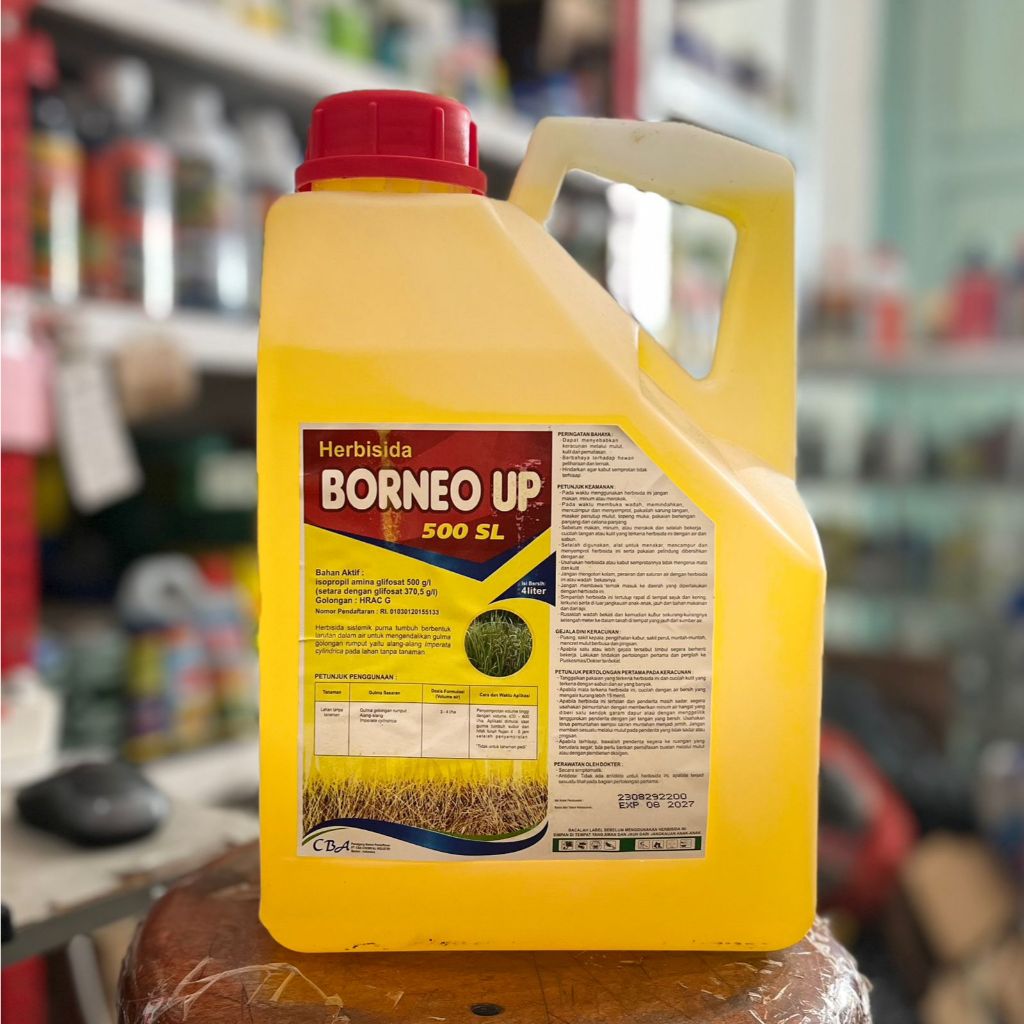 Borneo Up 500 SL 4 Liter - Herbisida sistematik Glifosat