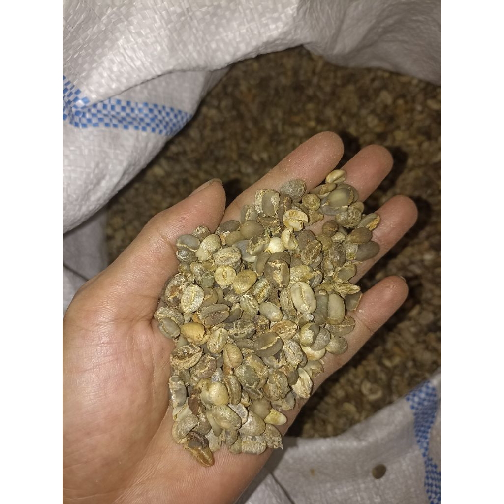 

Kopi cobra Arabica asalan