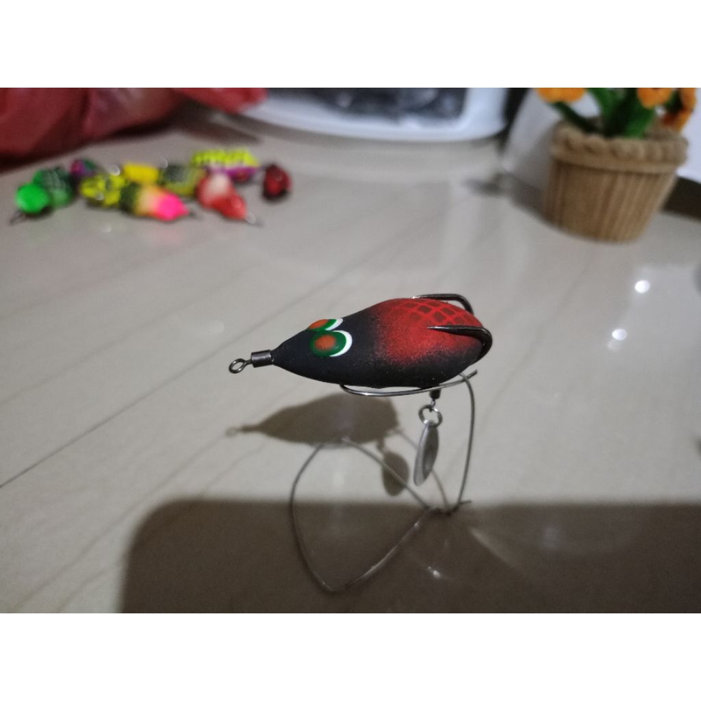 sofrog tenggelam curut 4cm