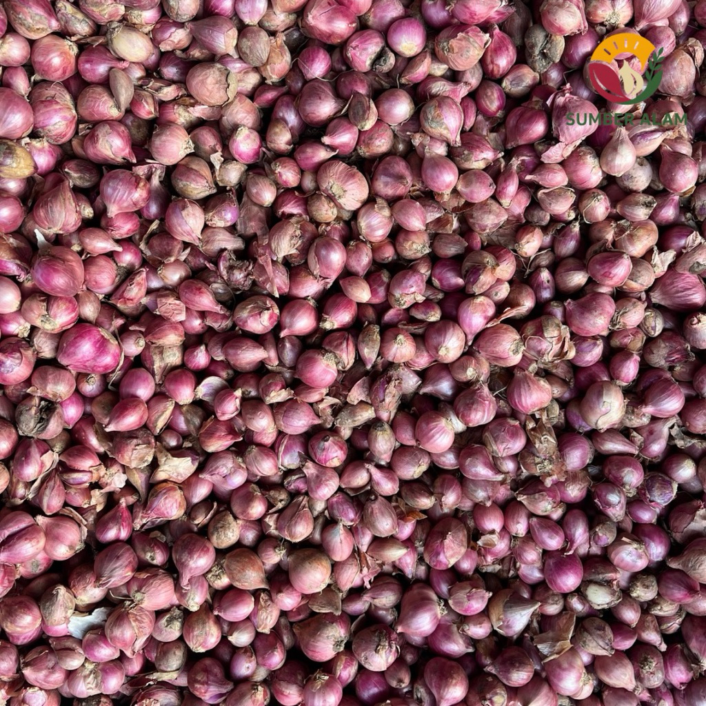 

Bawang Merah Bamer Brambang Lokal Sedang Bersih Kering Free Jaring