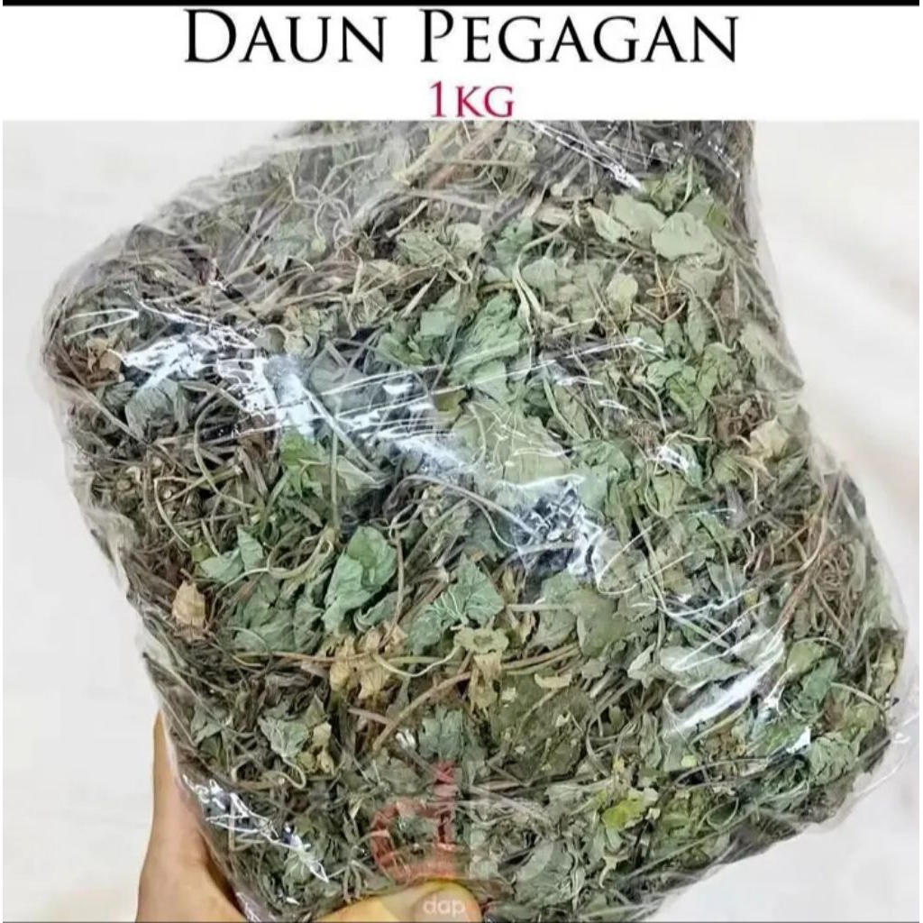 

Daun pegegan/antanan kering pilihan terbaik berat bersih 1kg