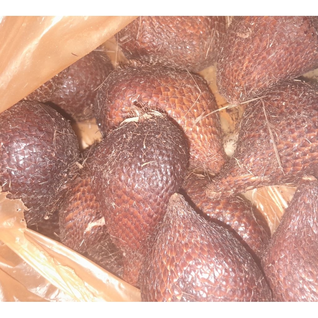 

Buah Salak Manis Besar Gembul Salak Pondoh Berstagi