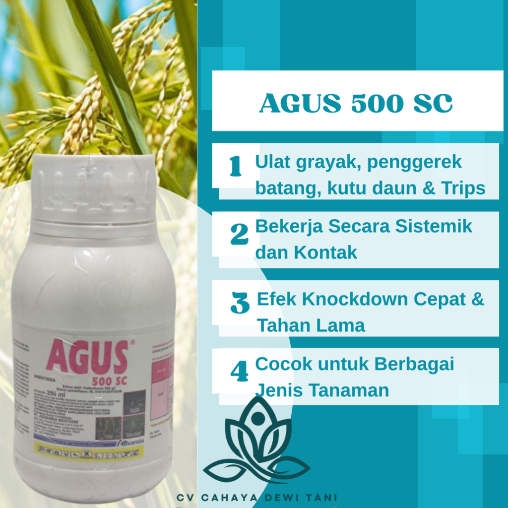 AGUS 500SC Racun Insektisida Mengendalikan Hama Kutu Kebul Trip Tanaman Cabai Semangka Melon