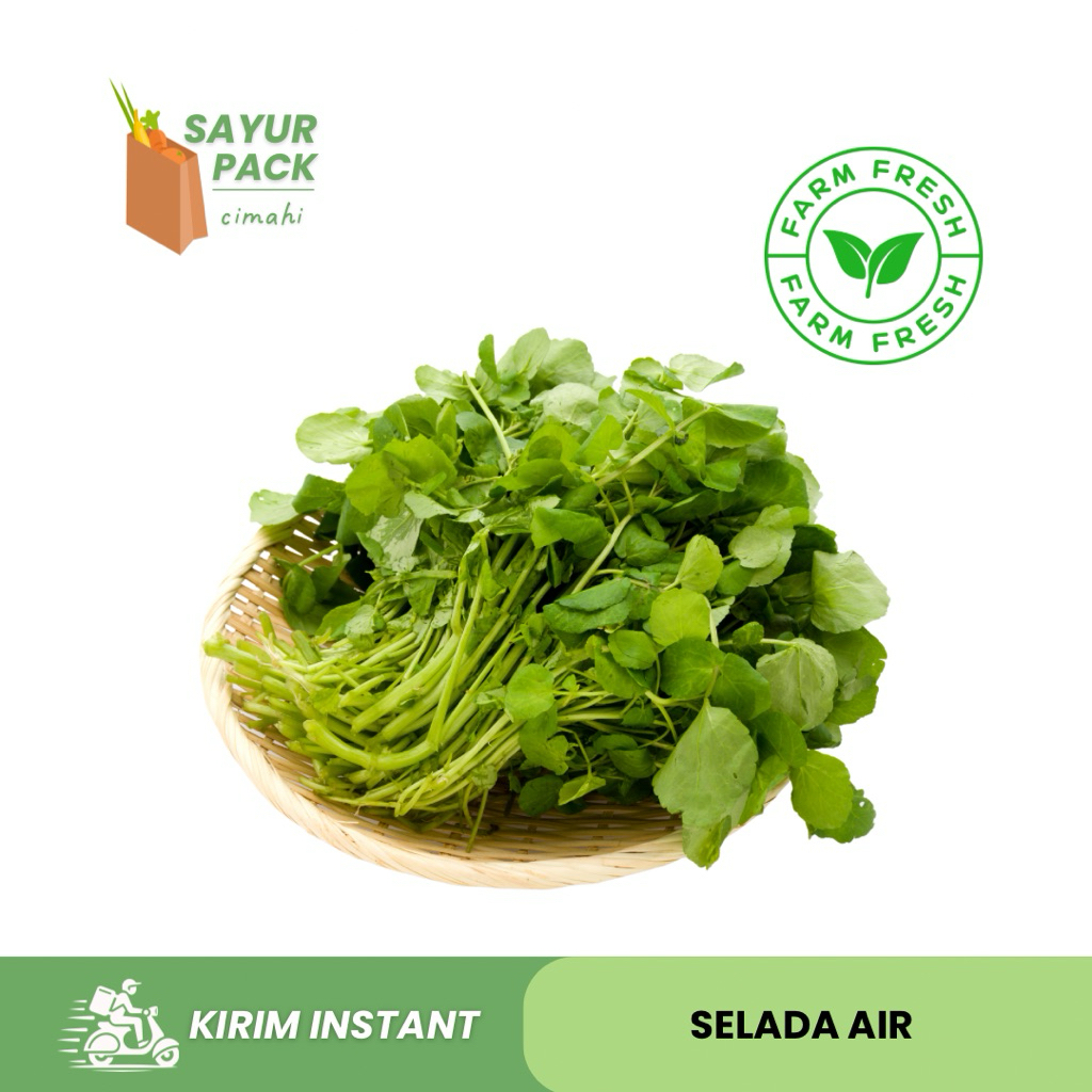 

SELADA AIR 1 IKAT | selada segar | jukut goreng | sayur instant cimahi