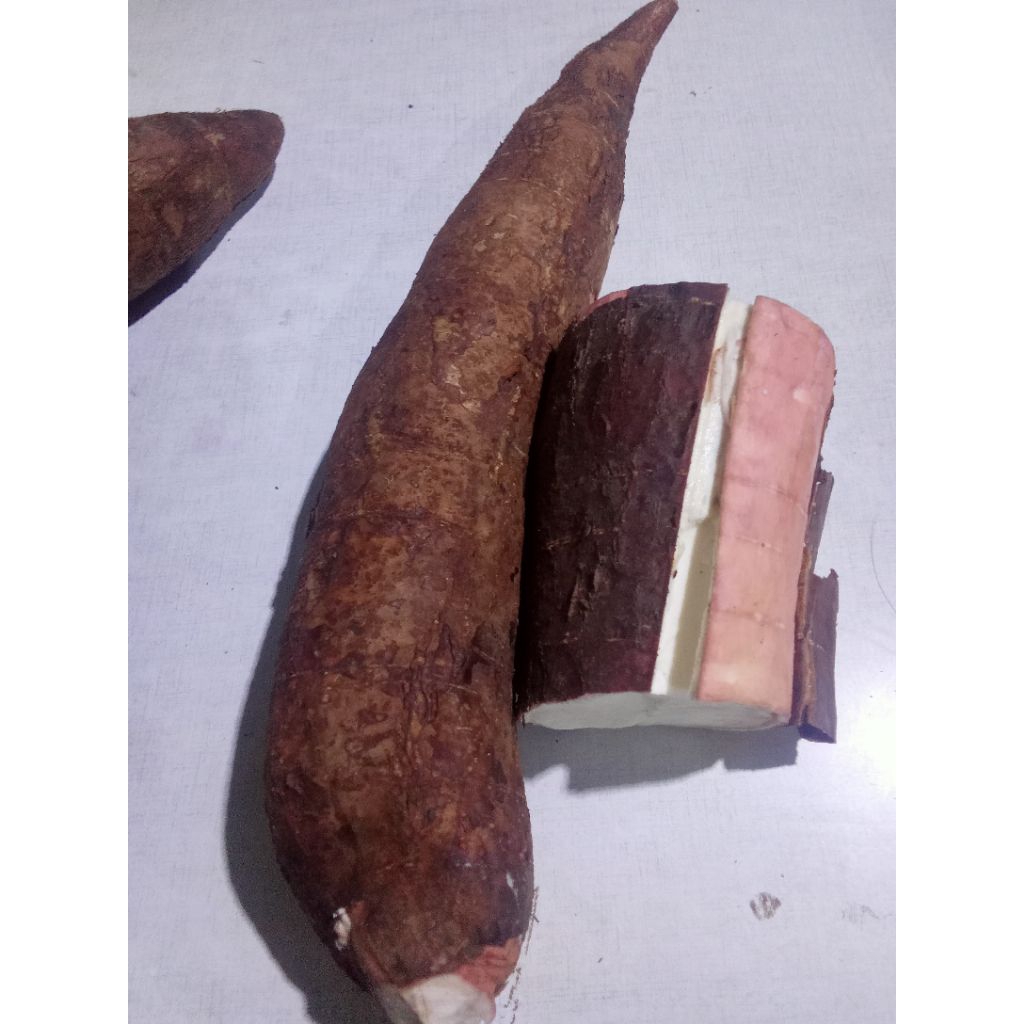 

singkong pulen segar 1kg