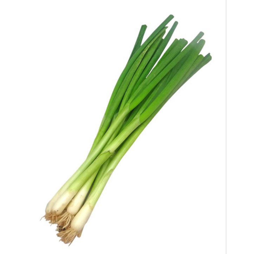 

Daun Bawang Besar 250 Gram