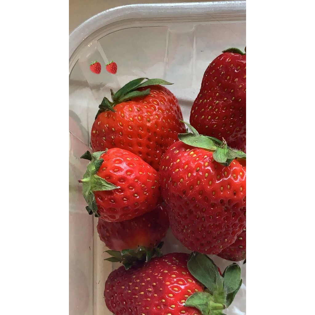 

strawberry belgia