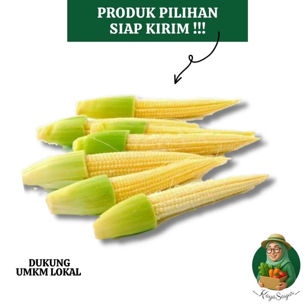 

Jagung Semi / Baby Corn Fresh 1/4kg