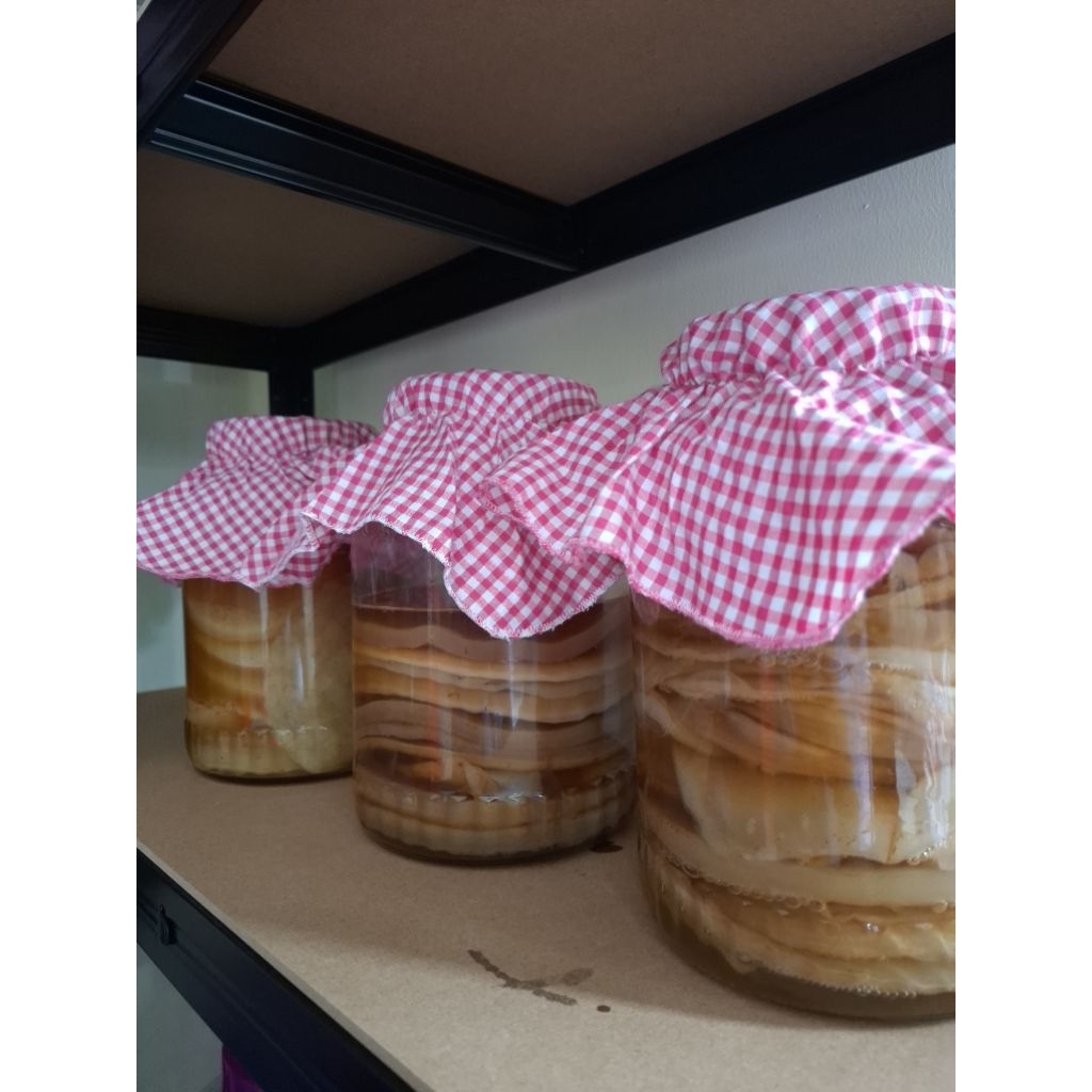 

SCOBY dan starter 500ml