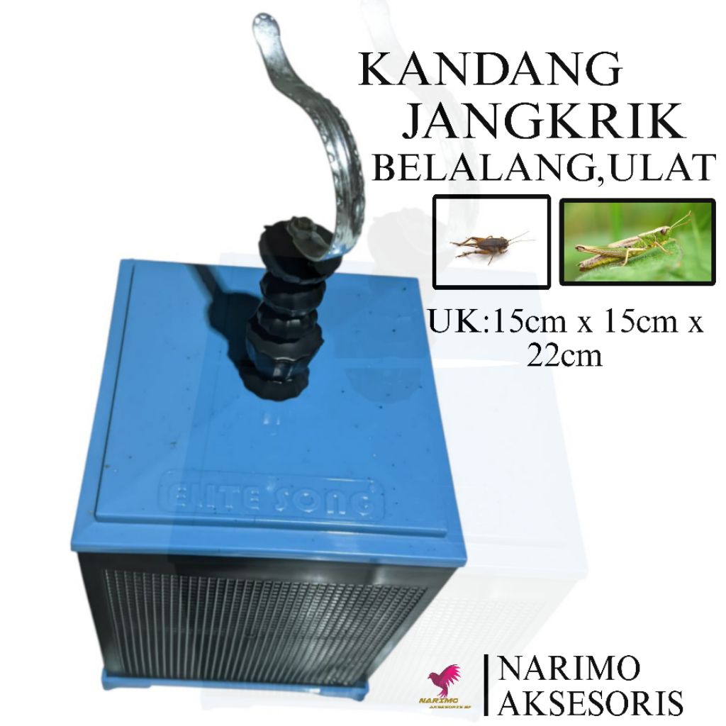 Kandang Jangkrik Kandang Jangkrik Belalang Dan Ulat Elite Song