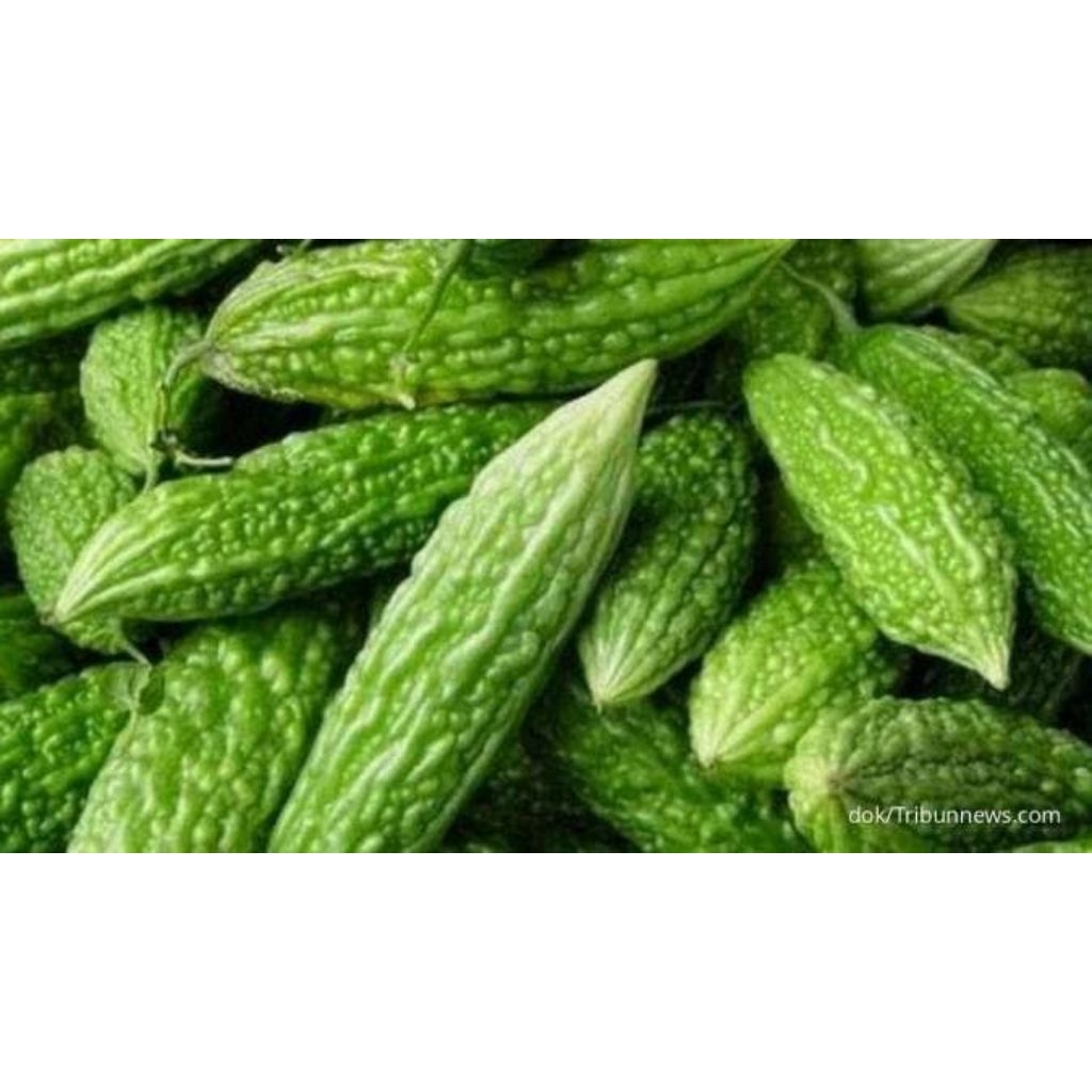 

sayur pare fresh segar termurah 250 gram 500 gram 1 kg